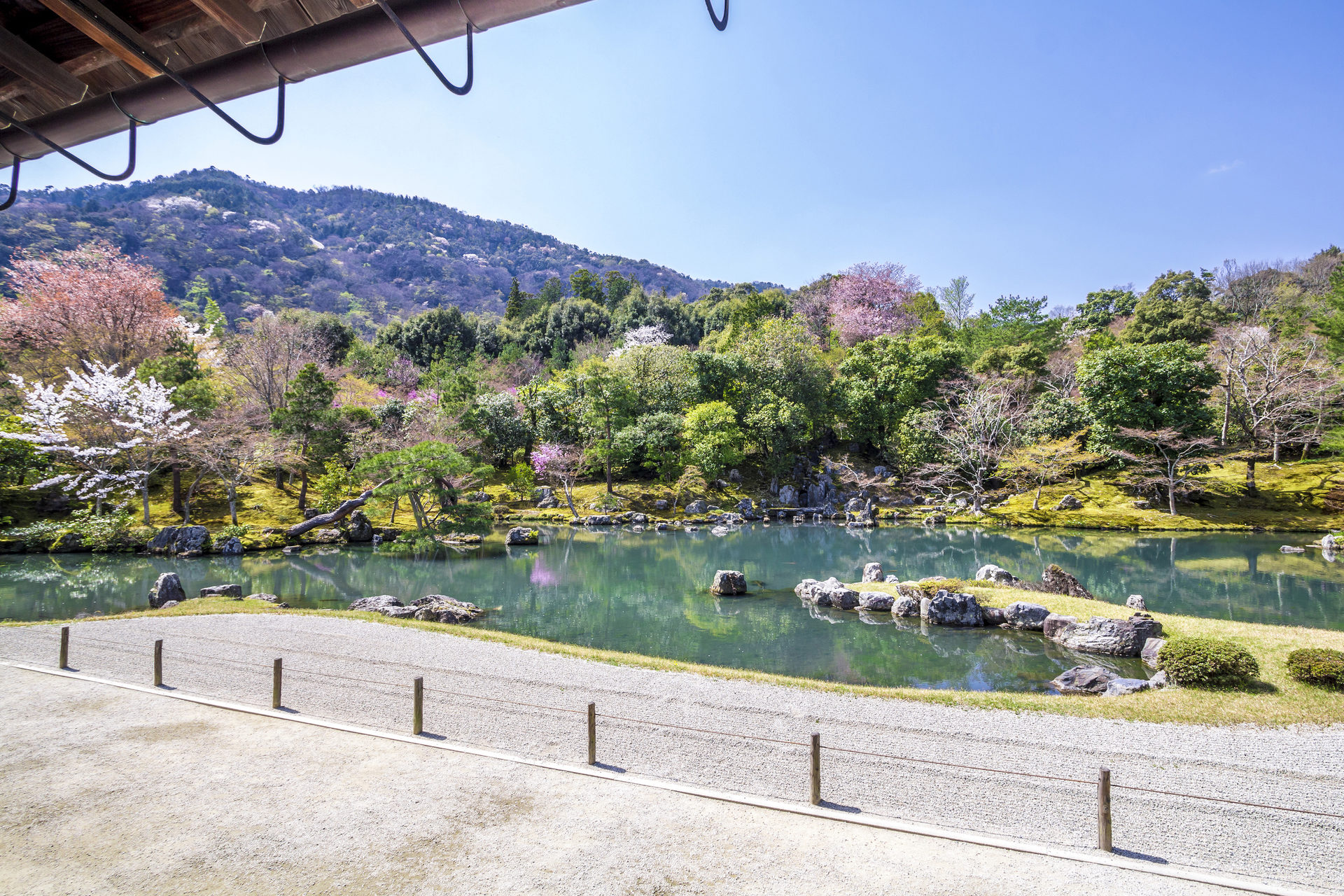 京都　天龍寺　春